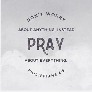 Meet your Posher, Ann